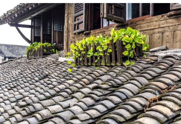 Asphalt Shingle Roofing Services for Affordable, Durable, and Versatile Residential Roofing Solutions