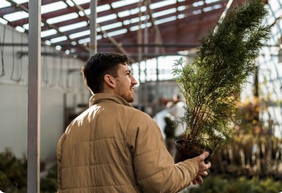 Transforming Spaces with Greenery: A Guide to Professional Plant Installation Services