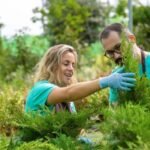 Complete Guide to Effective Invasive Plant Control and Landscape Restoration