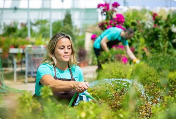 Top Professional Irrigation Installation Services for Residential and Commercial Properties