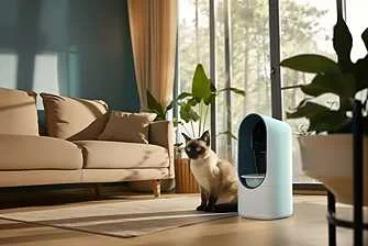 air cleaning technology