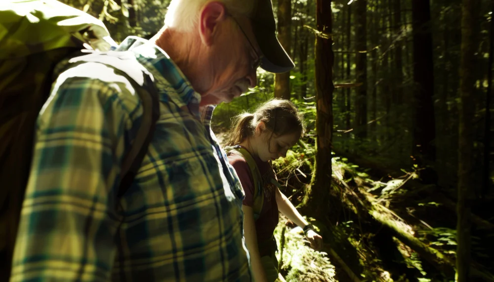forestry mastication vegetation management