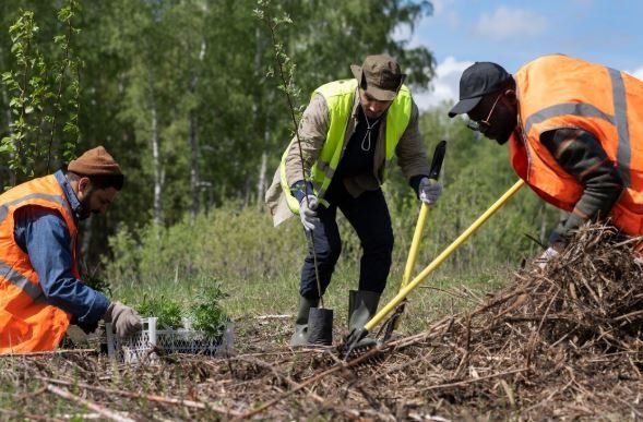land preparation techniques