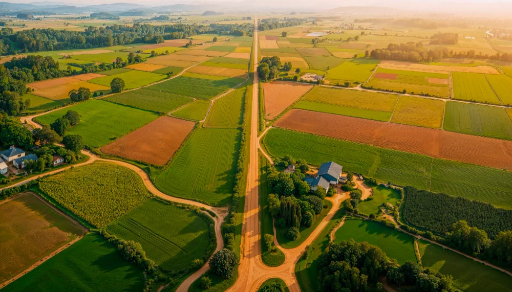 land preparation techniques