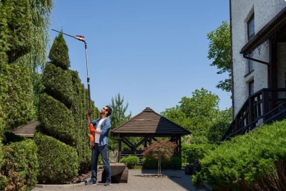 landscape maintenance curb appeal