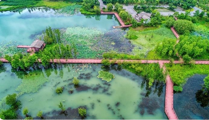 outdoor pond design