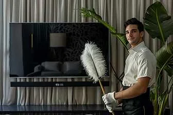 professional cleaning standards