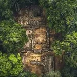 sustainable forest management