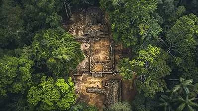 sustainable forest management