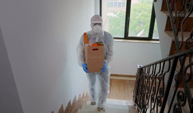 termite inspection